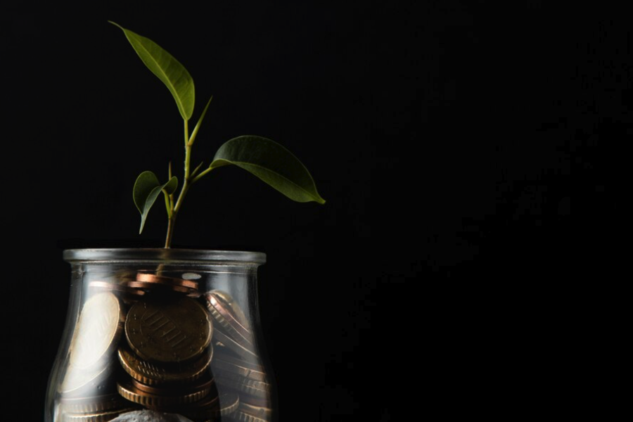 Фандрейзинг